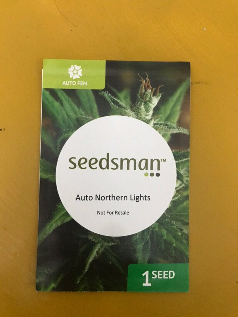 isis-auto-northern-lights-seedsman
