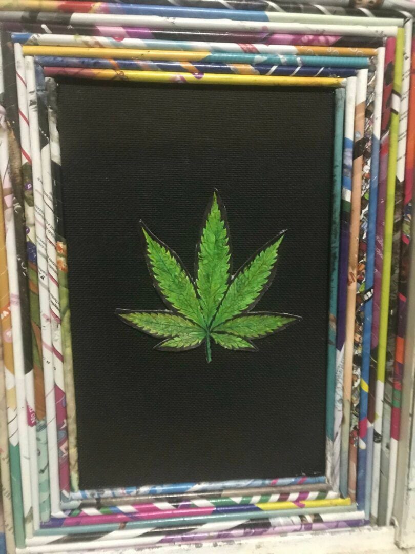 1-cultivo-semente-desconhecida