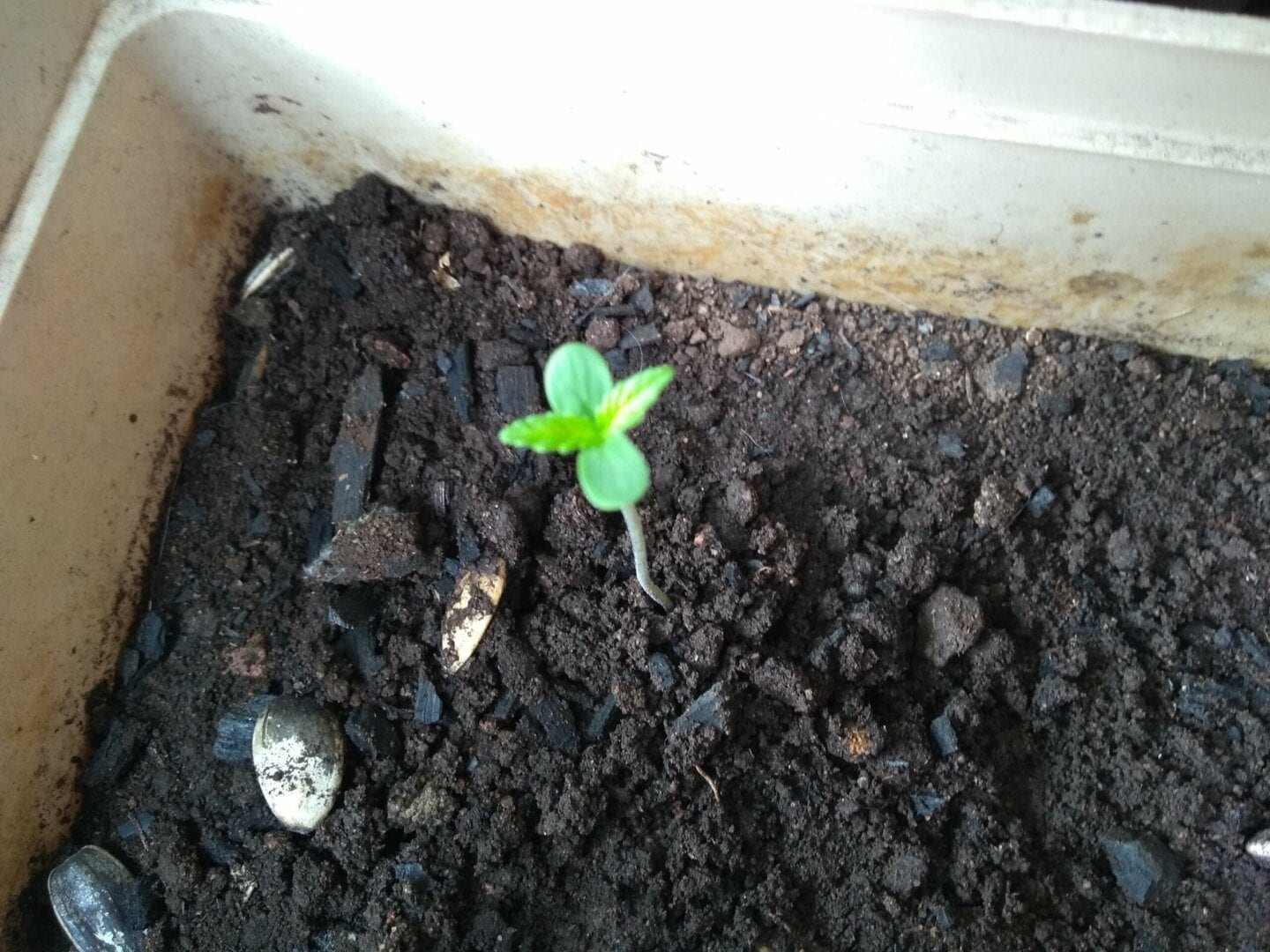 aprendendo