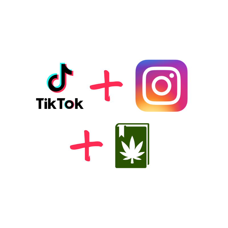 Como divulgar seu cultivo no Diário Medicinal usando o Instagram e TikTok